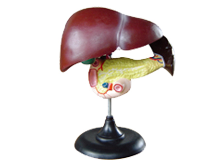 SD-093 33216����ʮ��֬�c�����Kģ��